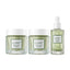 Anti-aging Cream S 50g (2ea) + Phyto green Ampoule (50ml)